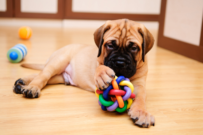 Take Back Your Home with Dependable Clutter Removal Services